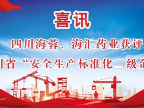 海蓉、海匯藥業(yè)獲評“安全生產(chǎn)標準化二級企業(yè)”